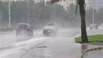 عاجل.. عاجل: شبورة كثيفة تشل الحركة حتى 10:30 صباحاً والحرارة تنهار لـ8 درجات – تحذيرات عاجلة!