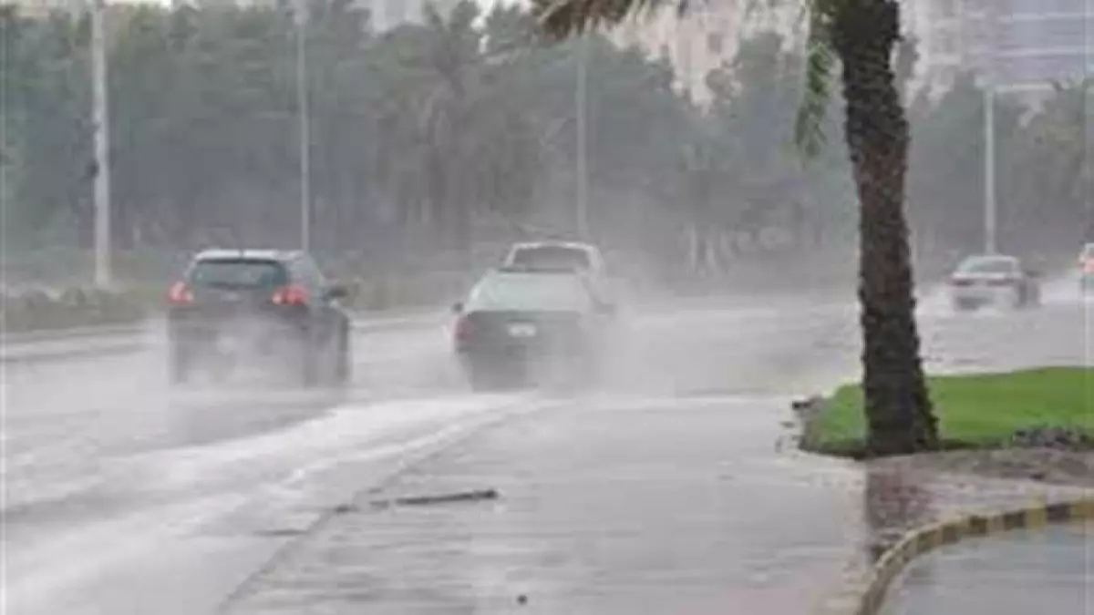 عاجل.. عاجل: شبورة كثيفة تشل الحركة حتى 10:30 صباحاً والحرارة تنهار لـ8 درجات – تحذيرات عاجلة!