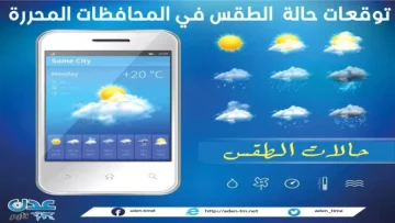 عاجل.. طقس مذهل: سقطرى تسجل 31° بينما سيئون تنخفض لـ 11°… فرق صادم يصل 20 درجة في يوم واحد!