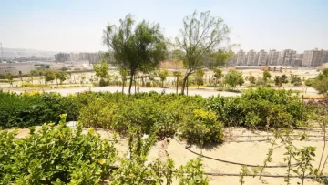 عاجل.. مفاجأة صادمة: رئيس الصندوق الحضري يكشف كيف حوّلت مصر منطقة قمامة لأجمل مكان بالعالم!