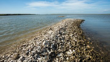 عاجل.. تحطم طائرة بحرية مكسيكية يخلف خمسة قتلى