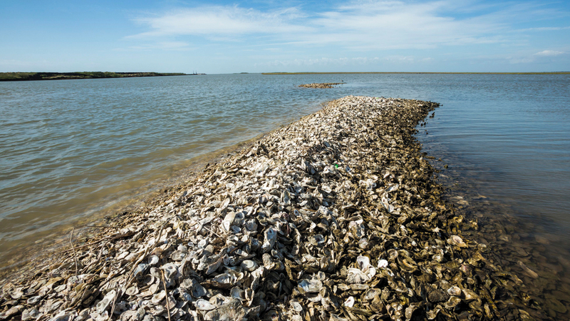 عاجل.. تحطم طائرة بحرية مكسيكية يخلف خمسة قتلى