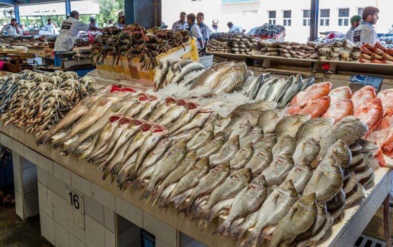 ارتفاع البوري والكابوريا.. أسعار الأسماك والمأكولات البحرية اليوم الجمعة