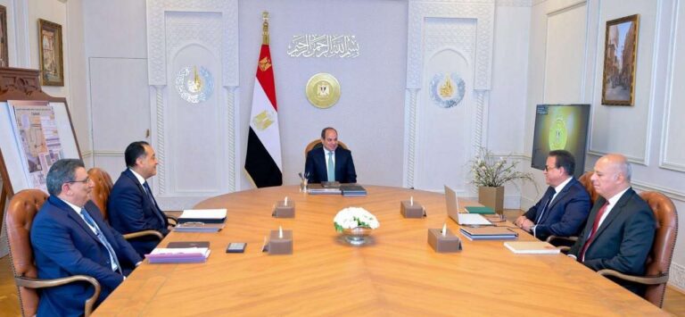 الرئيس السيسي يوافق على زيادة هذه الهيئة.. تفاصيل