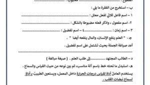 بالإجابات.. 7 قطع في النحو لطلاب الصف الثالث الإعدادي.. هتقفل الامتحان