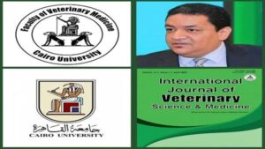 جامعة القاهرة تحقق قفزة عالمية في تصنيف سكوبس بفضل مجلة الطب البيطري الدولية