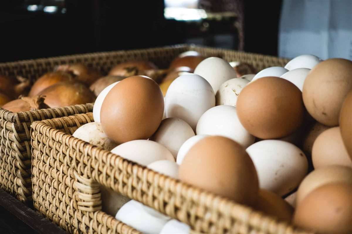 رئيس شعبة بيض المائدة: المنتجون يخسرون 60 جنيهًا في الطبق