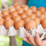 شعبة بيض المائدة: زيادة المعروض وراء تراجع الأسعار.. والمنتجون يخسرون أكثر من 70 جنيهاً في الكرتونة