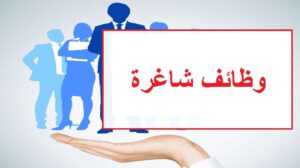 عاجل.. التعليم تعلن وظائف خالية في مدارس IPS | رابط التقديم