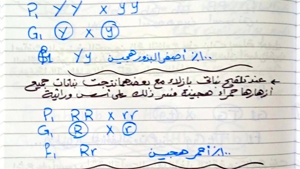 كل أفكار مسائل الوراثة في العلوم لطلاب الصف الأول الثالث الإعدادي 