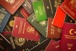 كيف حول الأثرياء الجنسية إلى أصل استثماري عالمي؟