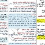 مراجعة ليلة الامتحان في التربية الإسلامية خلال 3 ورقات.. أهم الأسئلة والنقاط المتوقعة لـ الصف الثالث الإعدادي