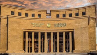 43.1 مليار دولار حصيلة تحويلات المصريين العاملين بالخارج خلال 11 شهرًا