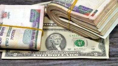 آخر تحديث لأسعار العملات في البنك المركزي اليوم الأربعاء.. والدولار عند 50.46 جنيه