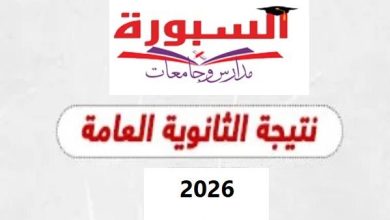 أسرع رابط للحصول على نتيجة الثانوية العامة 2026.. 6 خطوات للاستعلام عن نتيجتك