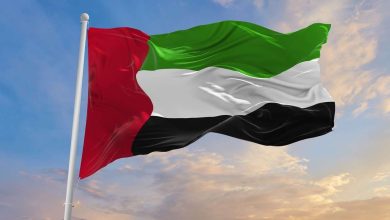 الإمارات تدين الهجوم الذي استهدف سفينتين في ميناء دمياط بطائرة مسيّرة