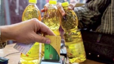 التحول للدعم النقدي المشروط في مصر.. كفاءة في التوزيع ومواجهة للهدر