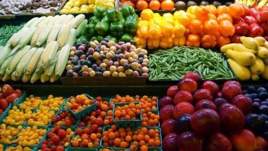 الطماطم بـ6 جنيهات والتفاح بـ100 جنيه.. أسعار الخضروات والفاكهة اليوم الإثنين 27 يوليو 2026