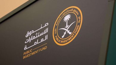 بـ 9.5 مليار دولار.. صندوق الاستثمارات السعودي يبرم شراكة ضخمة مع البنك الدولي لدعم التنمية المستدامة