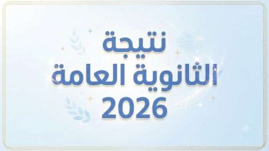 ملف إكسيل نتيجة الثانوية العامة 2026.. رابط رسمي شغال