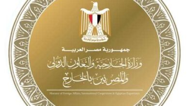 وزارة الخارجية تشيد بدعم المصريين بالخارج للمنتخب الوطني في كأس العالم 2026