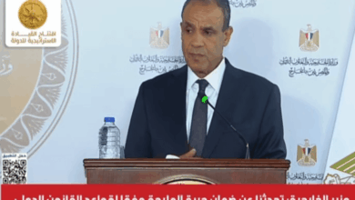 وزير الخارجية: مصر خسرت 10.5 مليارات دولار بسبب تأثر الملاحة في قناة السويس