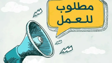 1355 فرصة عمل جديدة في 7 محافظات.. تفاصيل وظائف وزارة العمل لشهر أغسطس