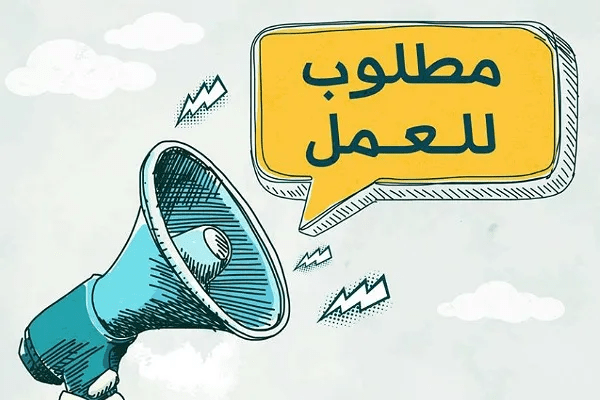 1355 فرصة عمل جديدة في 7 محافظات.. تفاصيل وظائف وزارة العمل لشهر أغسطس