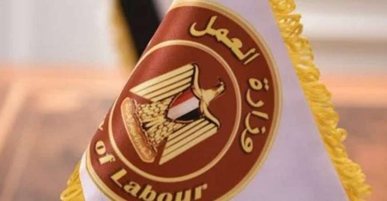 20 ألف جنيه راتب شهري.. وزارة العمل تعلن وظائف متاحة للشباب في 3 مدن «اعرف طريقة التقديم»
