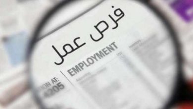 2594 فرصة عمل جديدة في 10 محافظات.. العمل تفتح أبواب التوظيف أمام الشباب