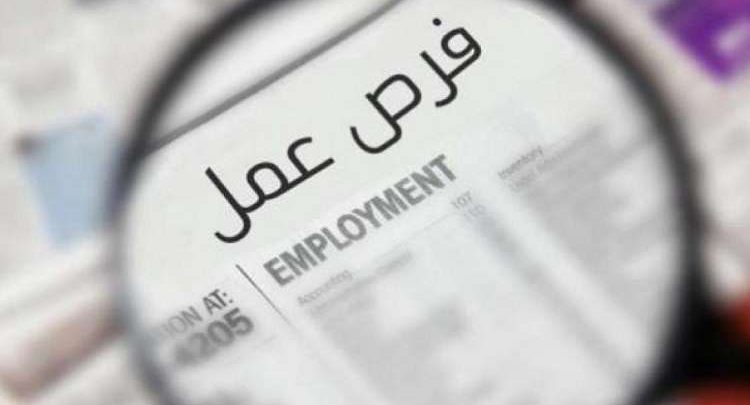 2594 فرصة عمل جديدة في 10 محافظات.. العمل تفتح أبواب التوظيف أمام الشباب