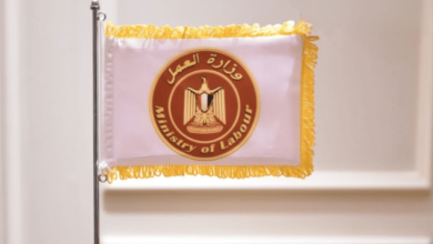 30 ألف جنيه راتب شهري ووجبات وإقامة مجانية.. وزارة العمل تعلن عن 1140 وظيفة متاحة «اعرف رقم التقديم»