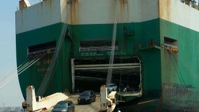 900 سيارة.. وصول سفينتي دحرجة سيارات "Ro-Ro" إلى موانئ بورسعيد