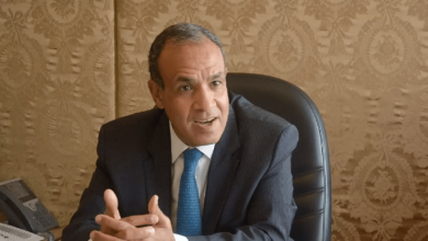 اتصالات مصرية مكثفة لاحتواء أزمات المنطقة.. عبد العاطي يبحث الملاحة في هرمز وغزة ولبنان والسودان