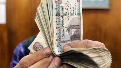 الدولة تقر معاش شهر لـ6 فئات من الأطفال.. اعرف المستحقين