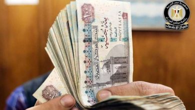 الصرف مستمر لمدة شهر.. خطوات الاستعلام عن منحة المولد النبوي للعمالة غير المنتظمة