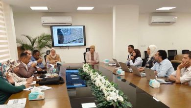 القومي لتنظيم الإعلانات يضع إقليم القاهرة الكبرى في مقدمة خطة استعادة الصورة الحضارية للإعلانات