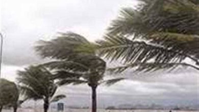 انخفاض مفاجئ.. حالة الطقس اليوم الأحد ودرجات الحرارة
