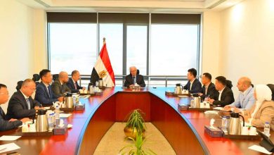 باستثمارات 2 مليار دولار.. نائب رئيس الوزراء يبحث مع مجموعة صينية إقامة مجمع صناعي بقناة السويس