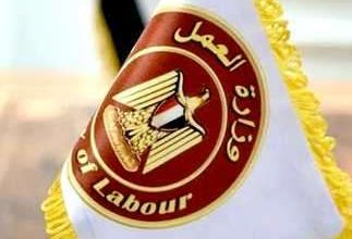 براتب شهري 10 آلاف جنيه.. وزارة العمل توفر 55 وظيفة جديدة للشباب ببورسعيد (الشروط وطريقة التقديم)