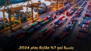 بنمو 7%.. صادرات مصر من الصناعات الكيماوية والأسمدة تسجل 9.4 مليار دولار في 2025