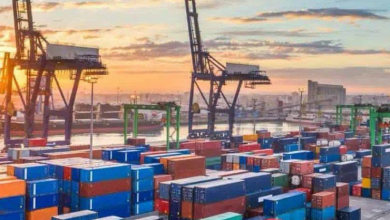 تنمية الصادرات المصرية.. 17 تعاقدا تصديريا إلى الصين بقيمة 168 مليون دولار