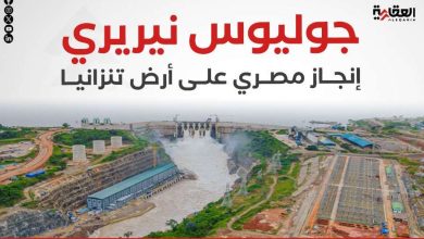 جوليوس نيريري.. إنجاز مصري على أرض تنزانيا