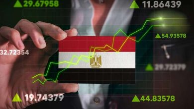 خبير مالي: صرف 1.8 مليار دولار يعكس نظرة صندوق النقد الإيجابية للاقتصاد المصري