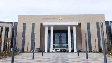 خلال أول 6 أشهر من 2026.. زيادة معدل تأسيس الشركات في مصر 20%