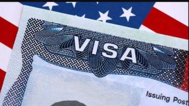 رسوم خيالية لتأشيرات H-1B.. ترامب يسعى لتحويلها إلى تكلفة دائمة
