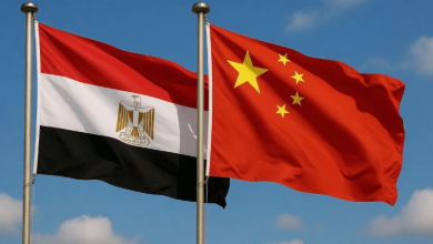 زيارة الرئيس الصيني إلى مصر.. شراكة تتجه من التجارة إلى توطين الصناعة والتكنولوجيا