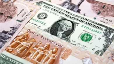 سعر الدولار اليوم 25 أغسطس 2026.. استقرار نسبي بالبنوك المصرية في منتصف التعاملات