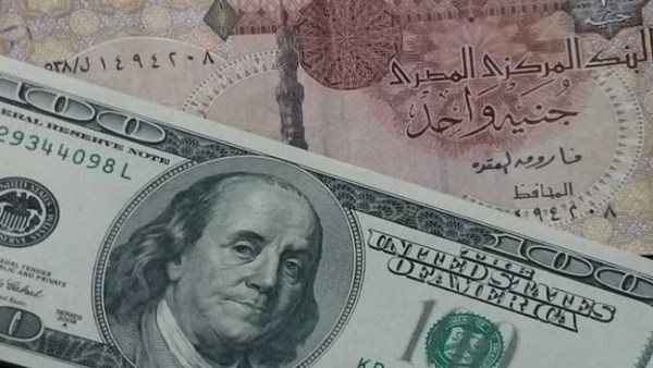 سعر الدولار اليوم الثلاثاء 25 أغسطس 2026 في البنوك.. استقرار ملحوظ أمام الجنيه