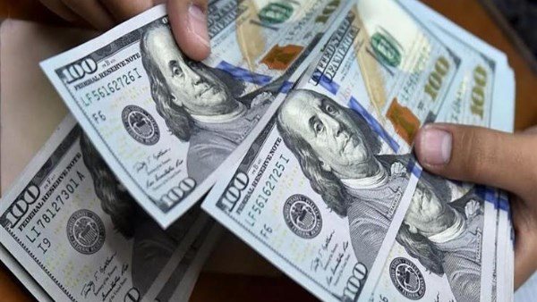 سعر الدولار اليوم السبت 22 أغسطس 2026.. استقرار الأخضر بالبنوك